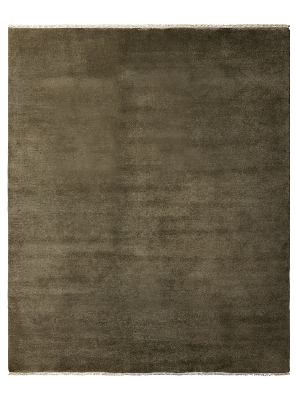 Armadillo Eden - Verona