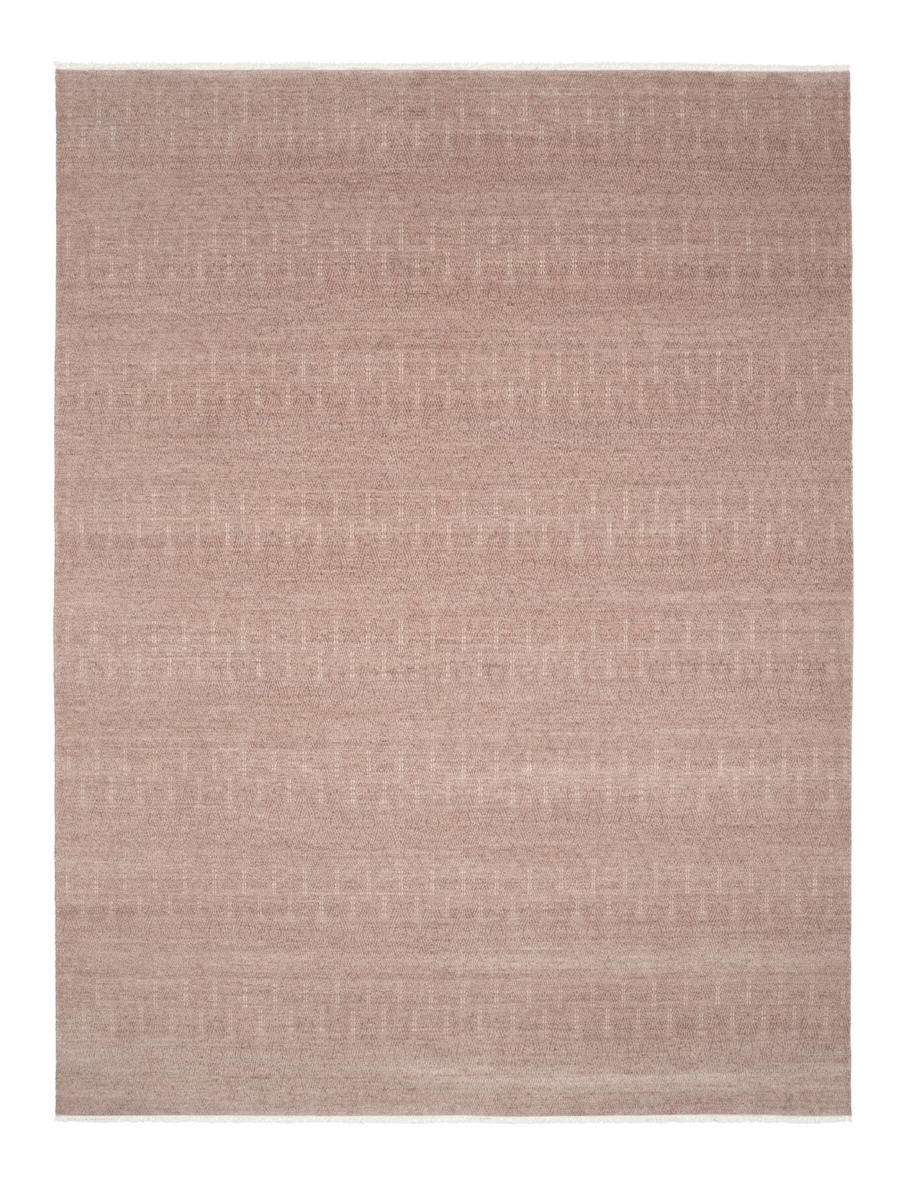 Armadillo Paragon - Primrose