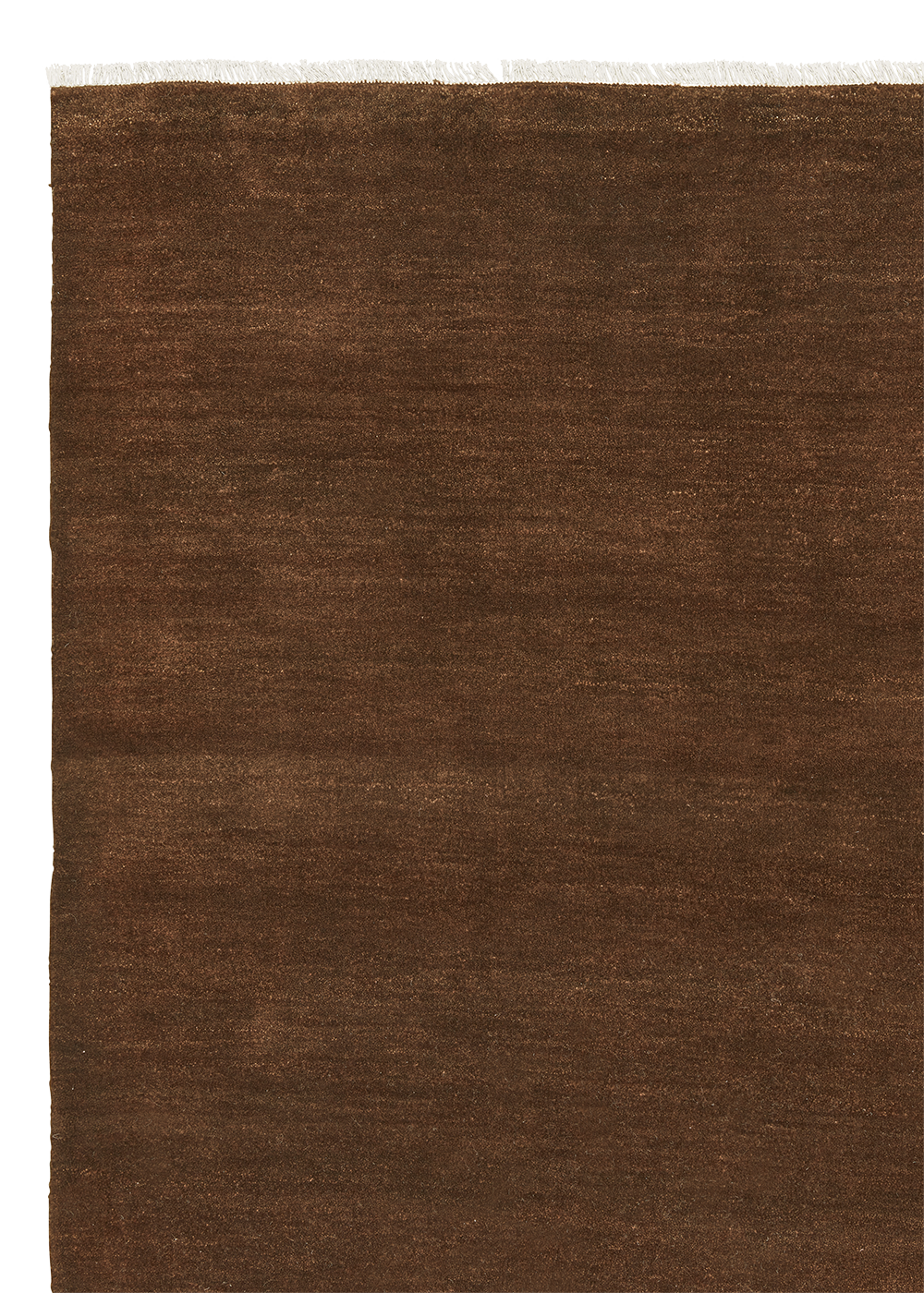 Armadillo Agra - Ginger