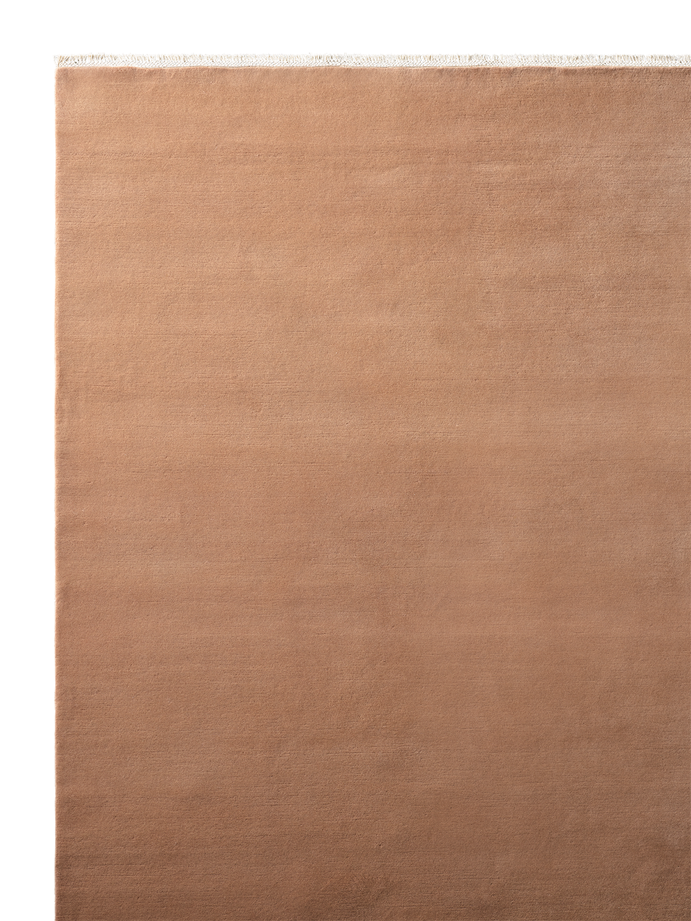 Armadillo Eden - Abalone