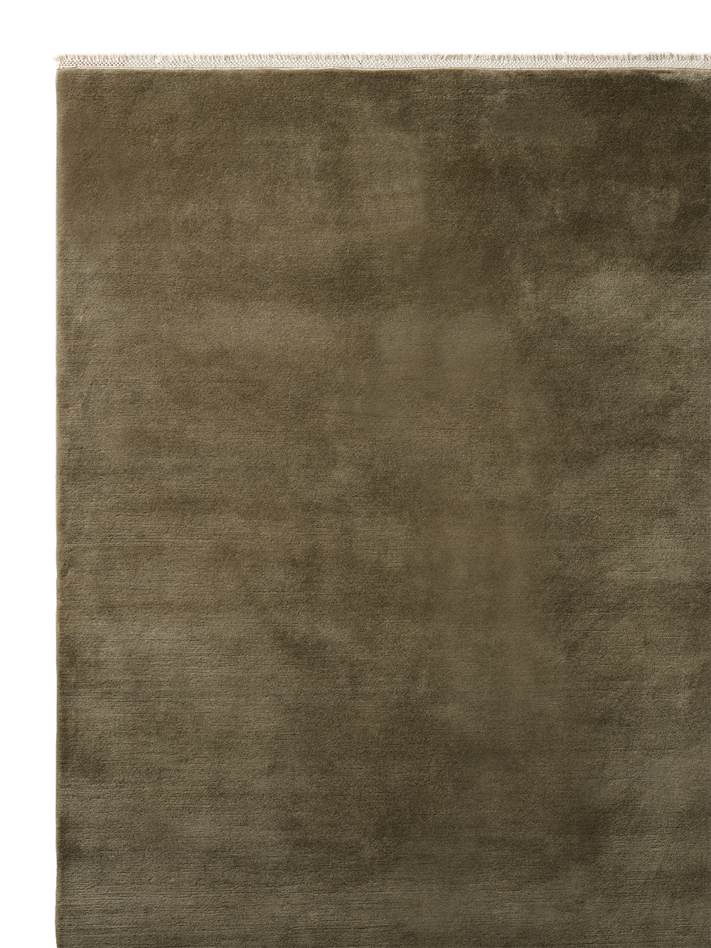 Armadillo Eden - Verona