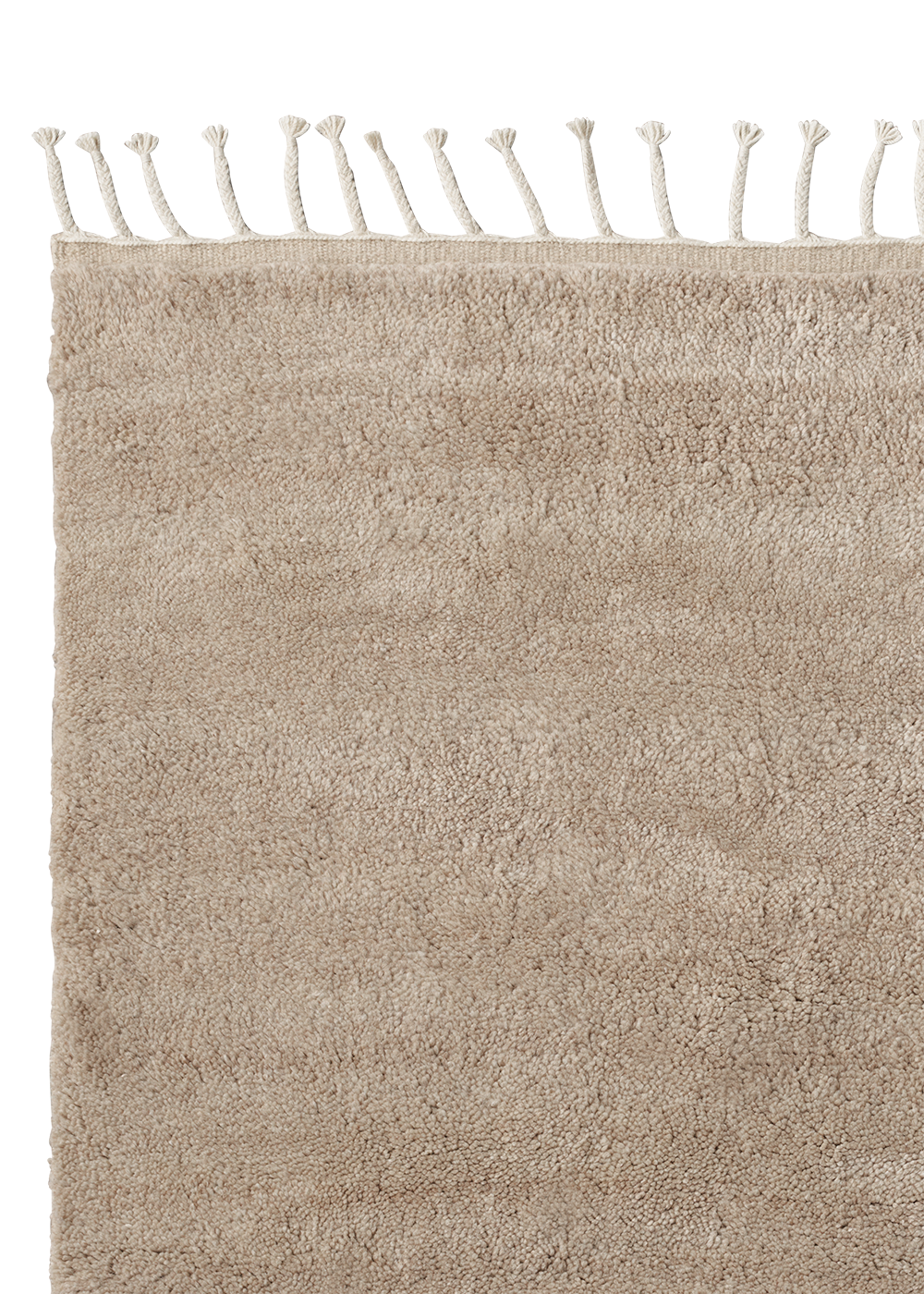 Armadillo Petra - Sparrow