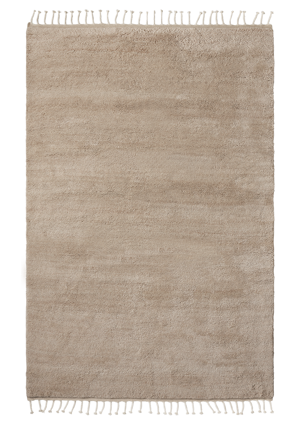 Armadillo Petra - Sparrow