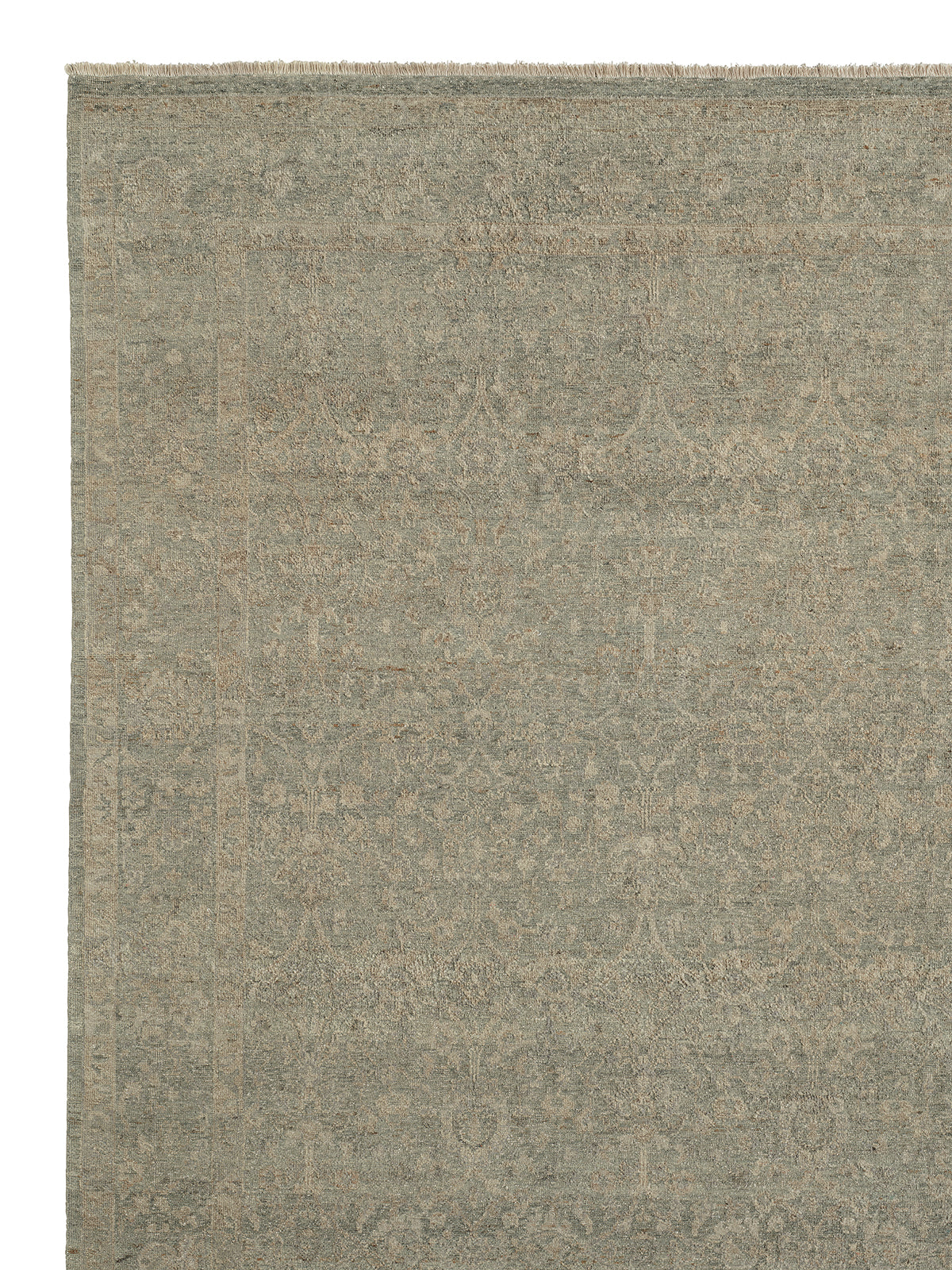 Armadillo Adagio - Neptune