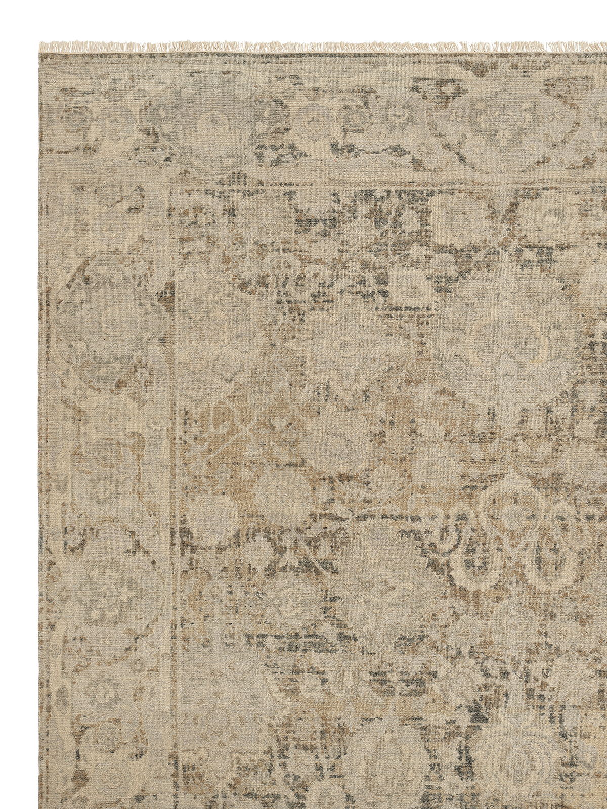 Armadillo Basilica - Clove