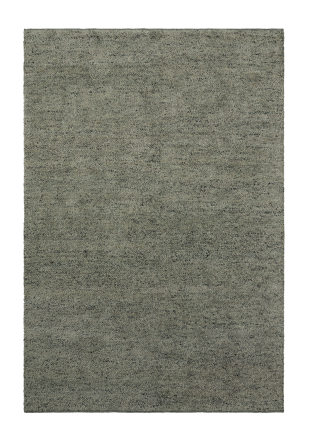 Armadillo Meadow - Seagrass