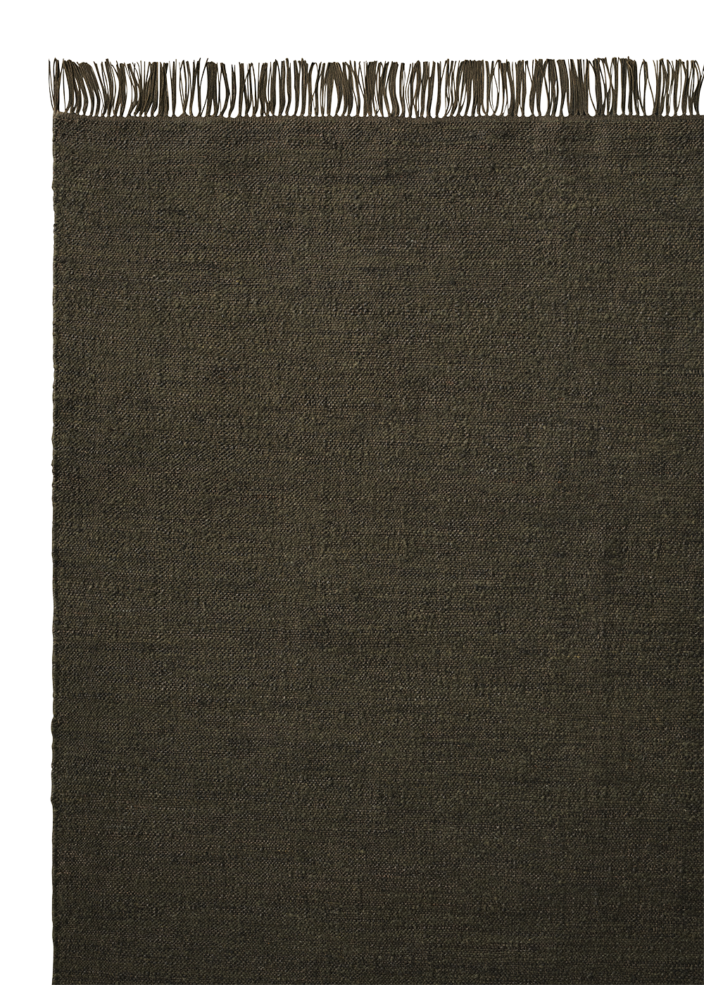 Armadillo Willow - Cypress