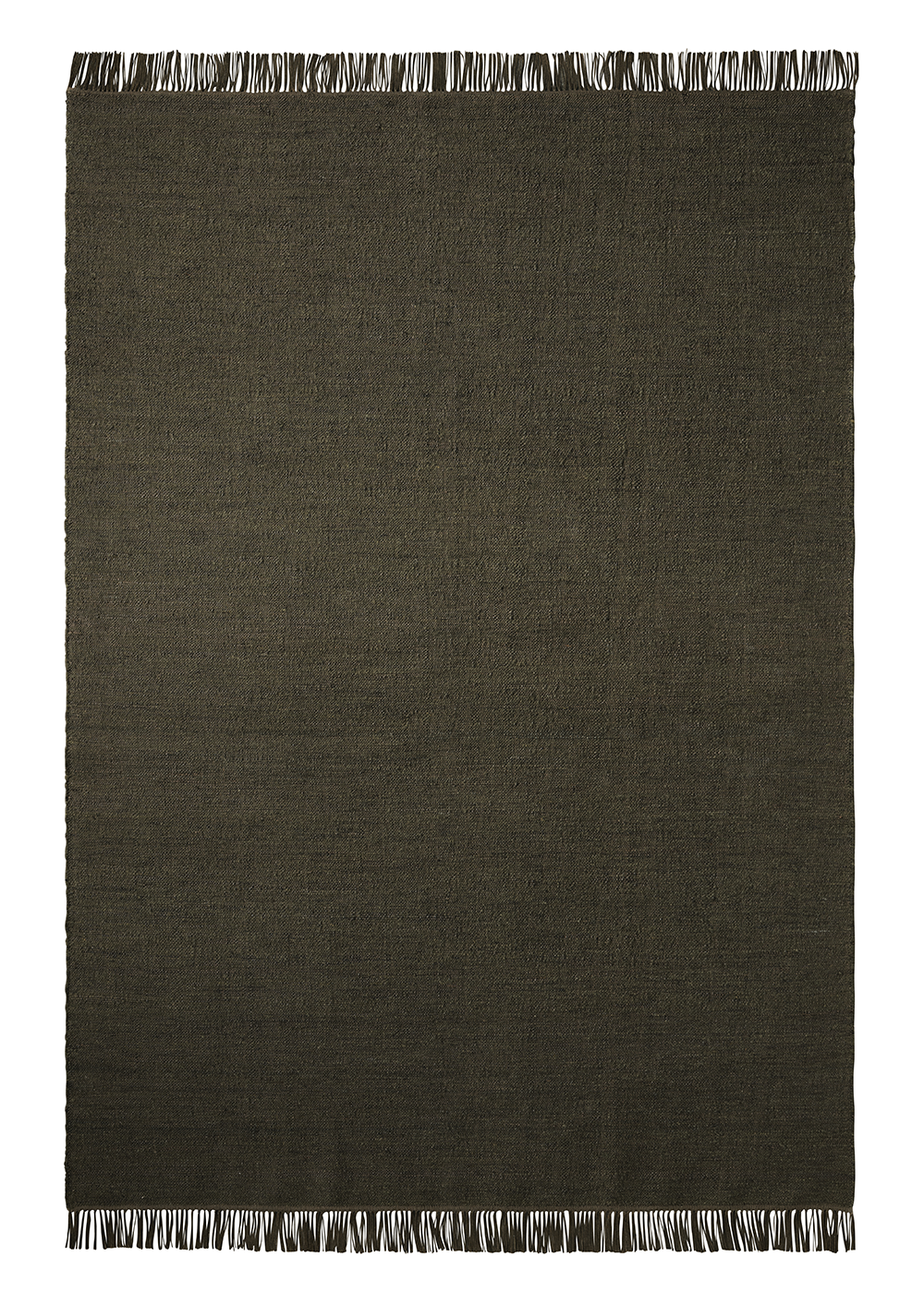 Armadillo Willow - Cypress