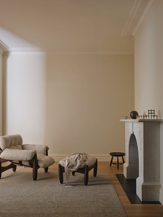 Armadillo Adagio - Neptune