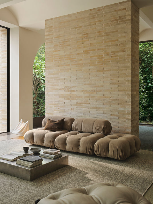 Armadillo Sonata - Plume