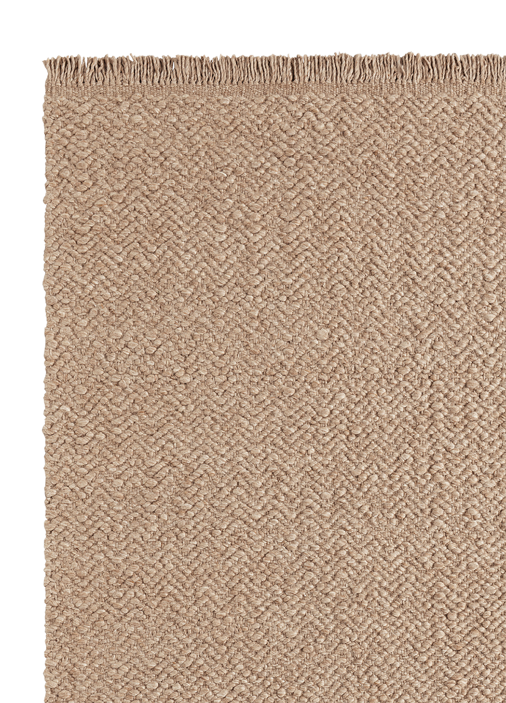 Armadillo Arroyo - Sepia