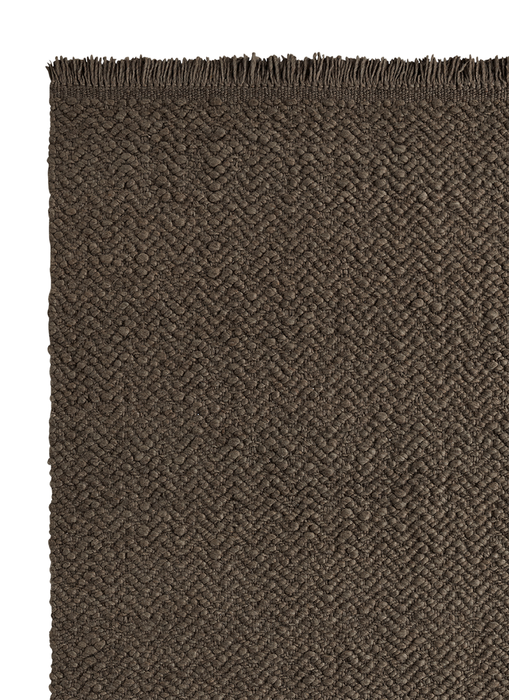 Armadillo Arroyo - Thorn