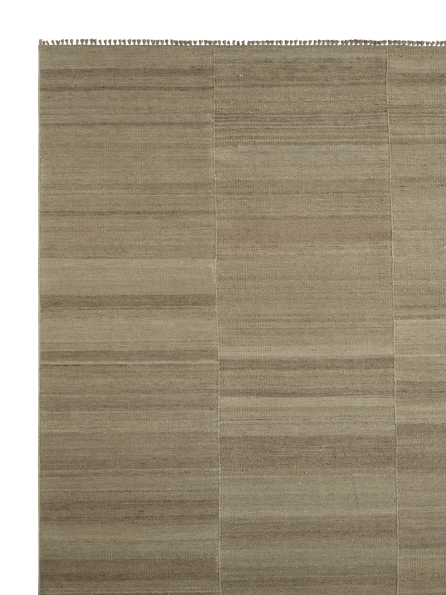 Armadillo Selva - Silt