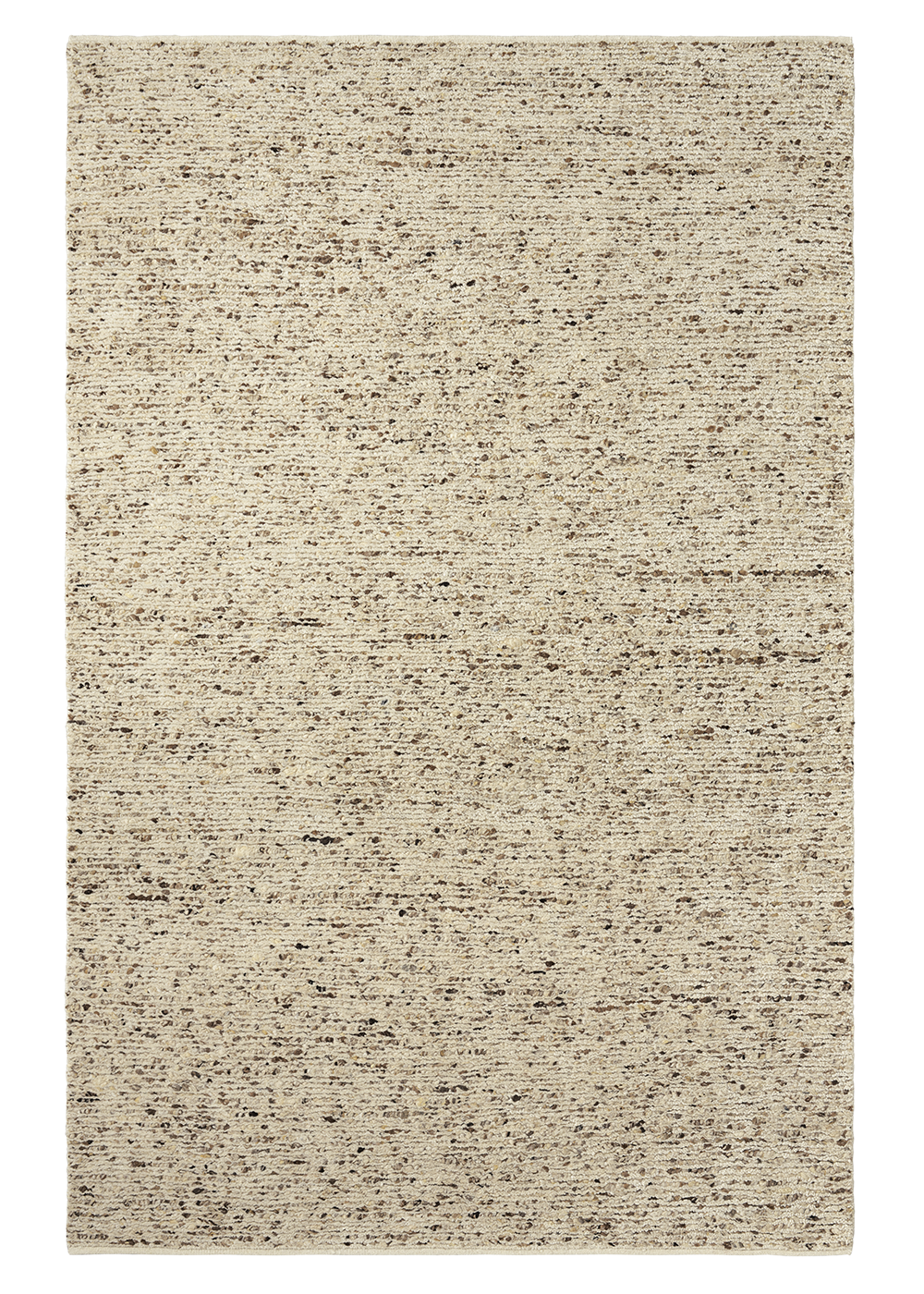 Armadillo Faroe - Foal