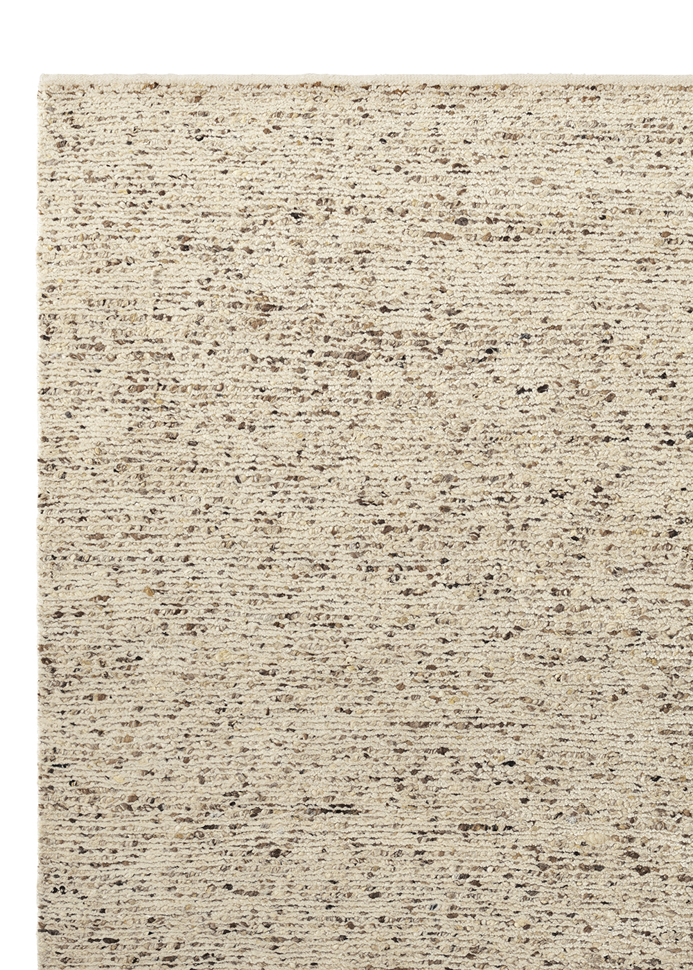 Armadillo Faroe - Foal