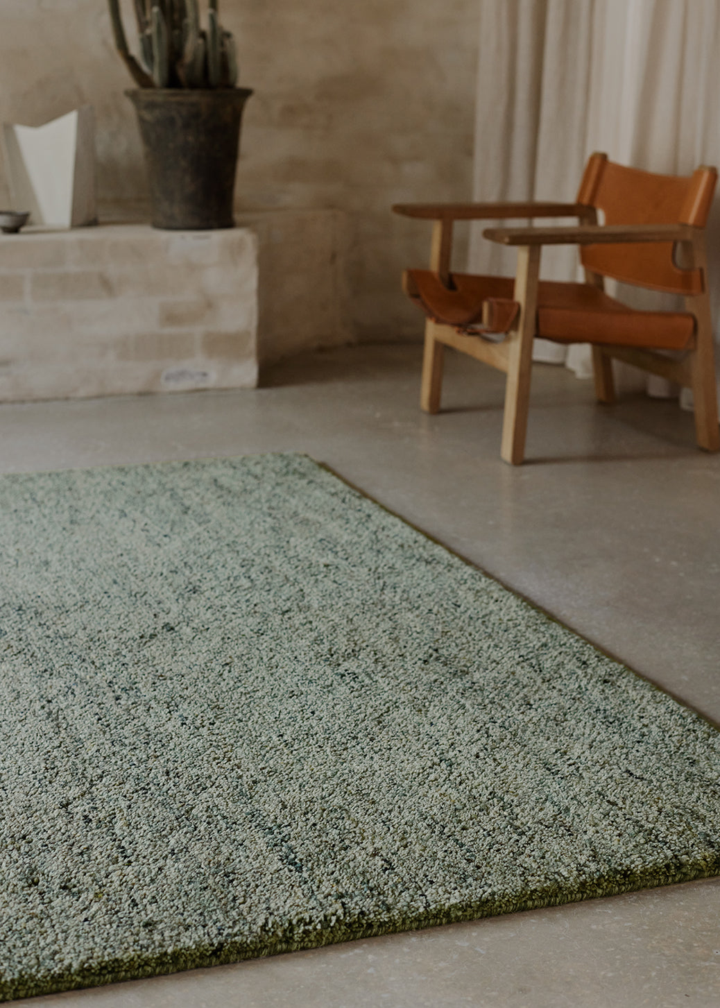 Armadillo Meadow - Seagrass