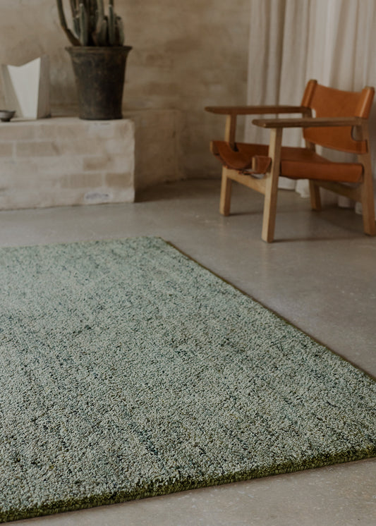 Armadillo Meadow - Seagrass