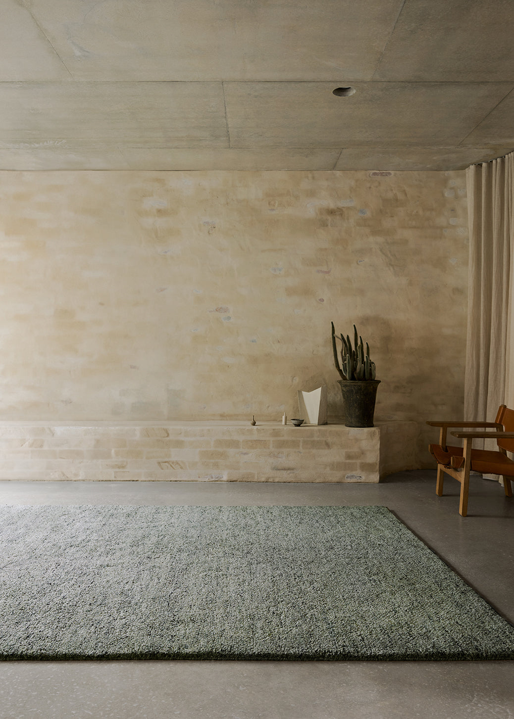 Armadillo Meadow - Seagrass