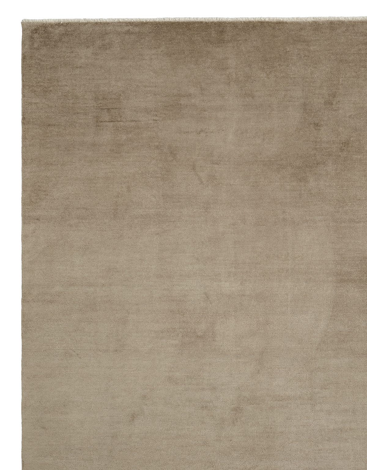 Armadillo Venezia - Aniseed