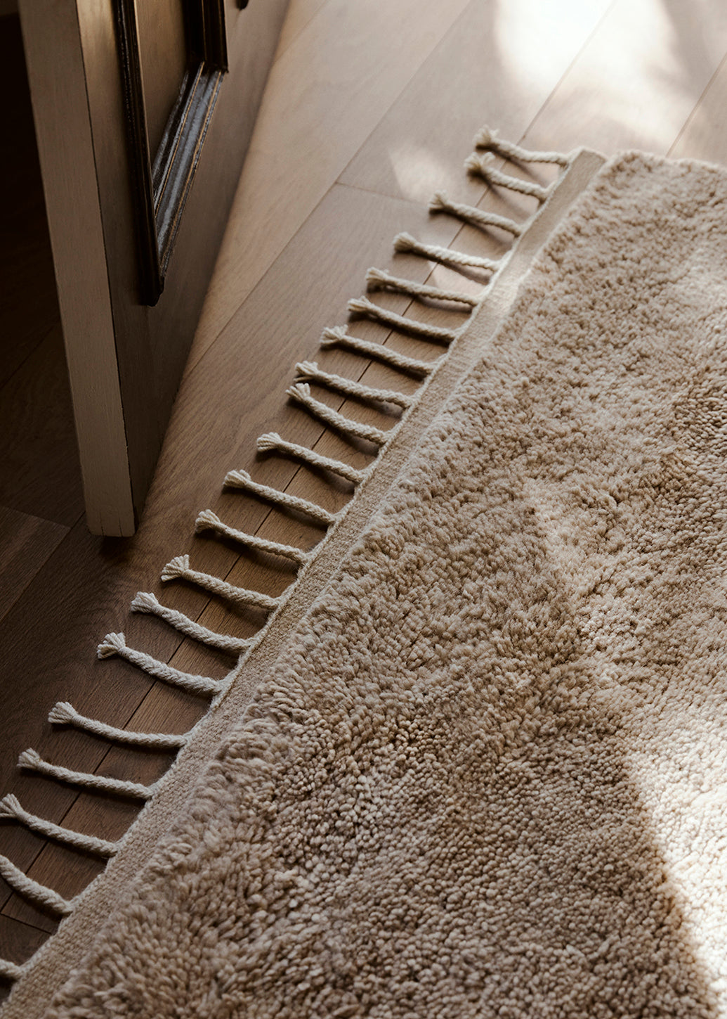 Armadillo Petra - Sparrow