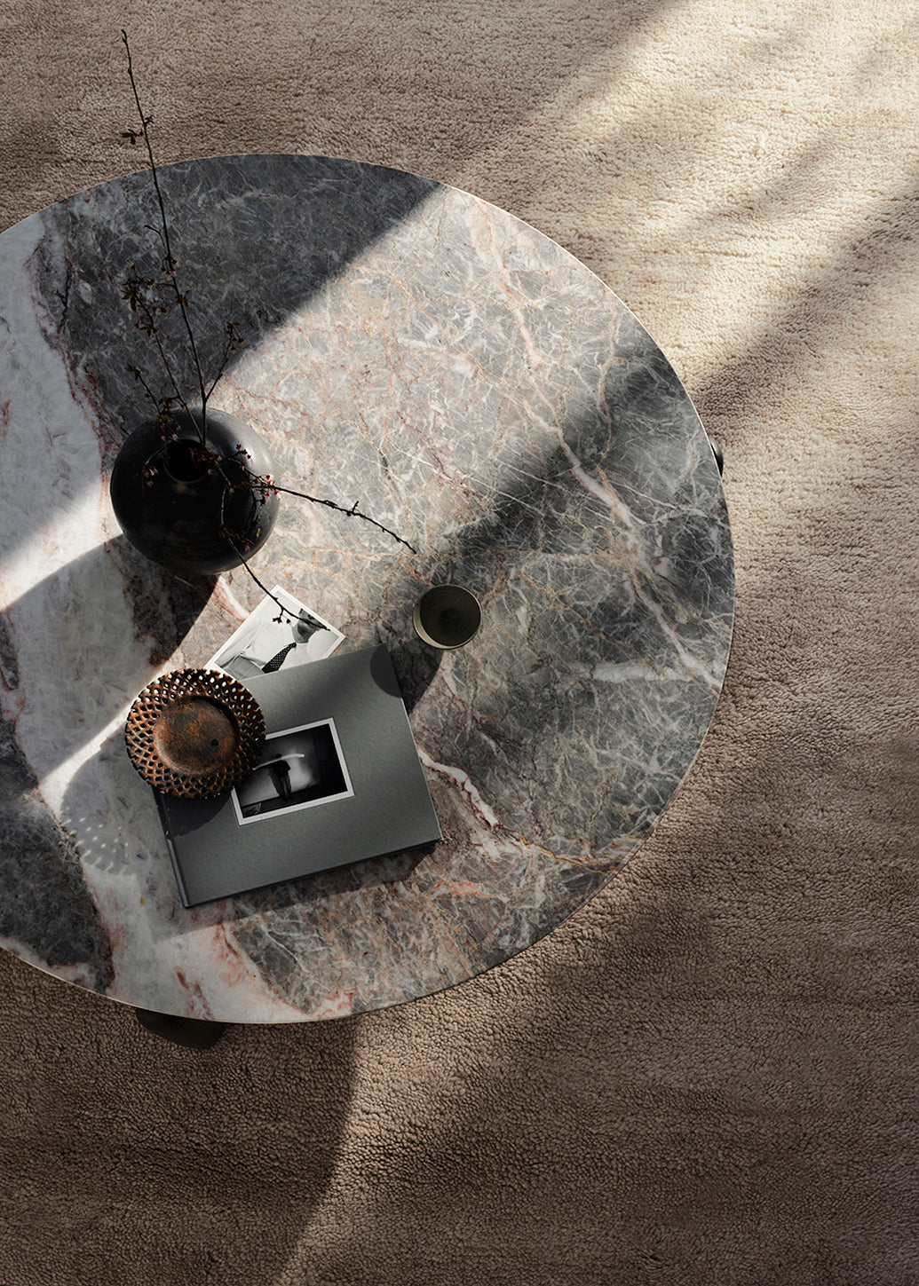 Armadillo Petra - Sparrow