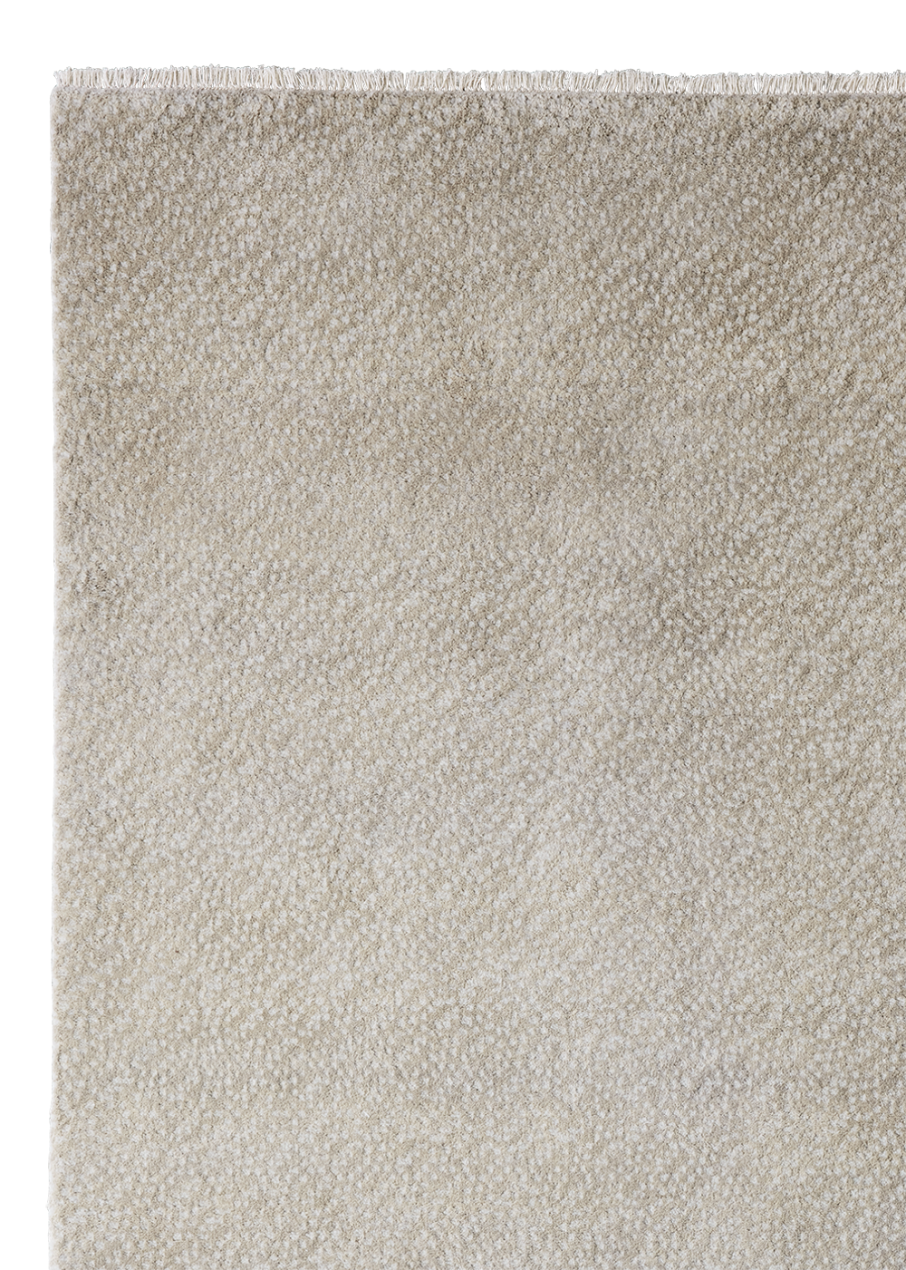 Armadillo Sistine - Peregrine