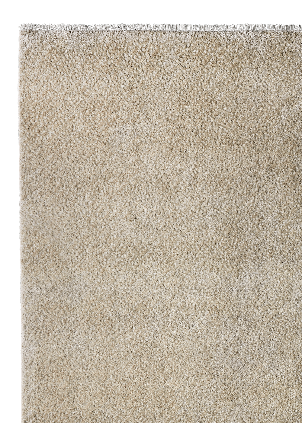 Armadillo Sistine - Semolina