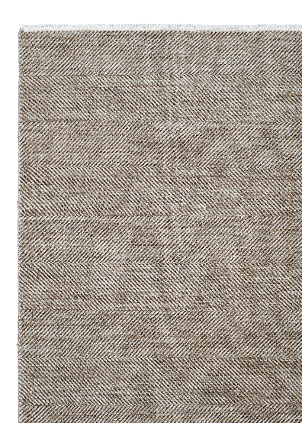 Armadillo Persian | Babylon - Sterling & Bronze