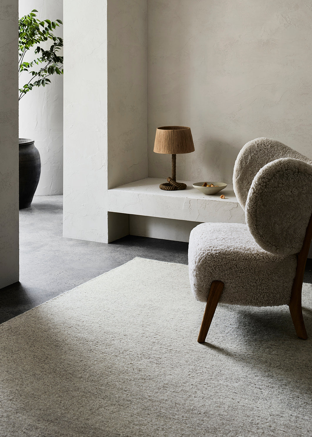 Armadillo Aspen - Fog