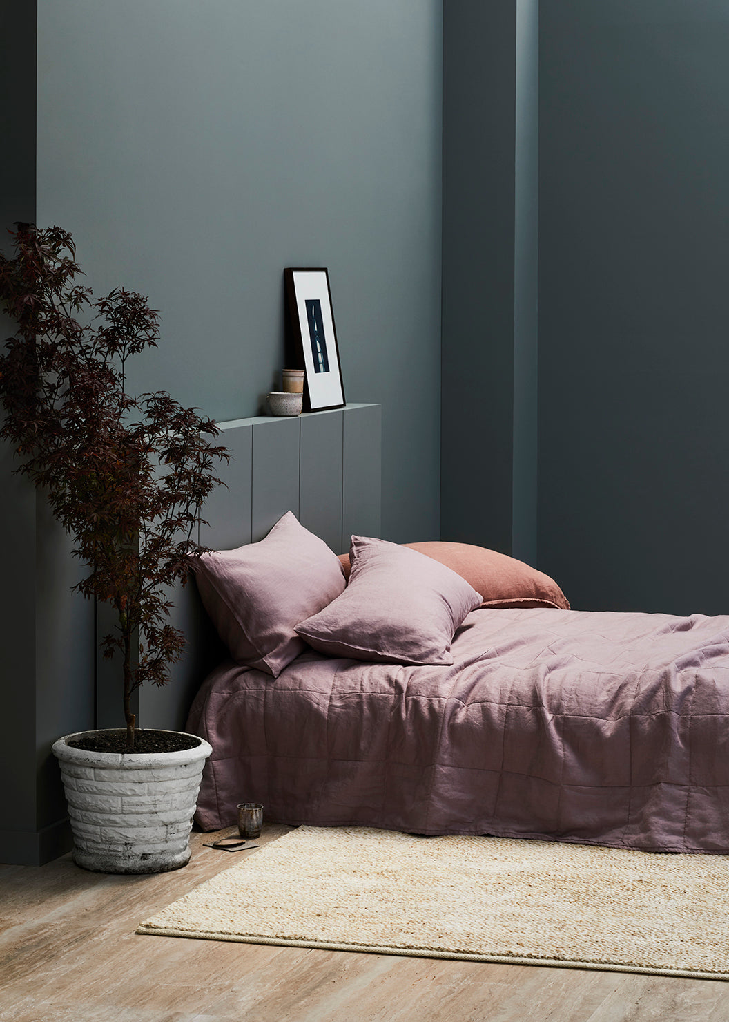 Armadillo Acacia - Fawn