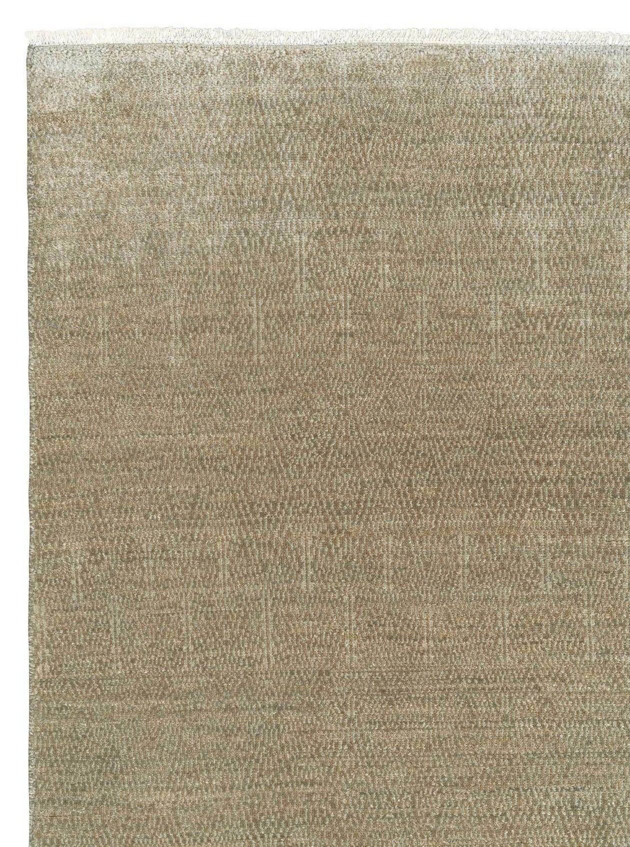 Armadillo Paragon - Birch