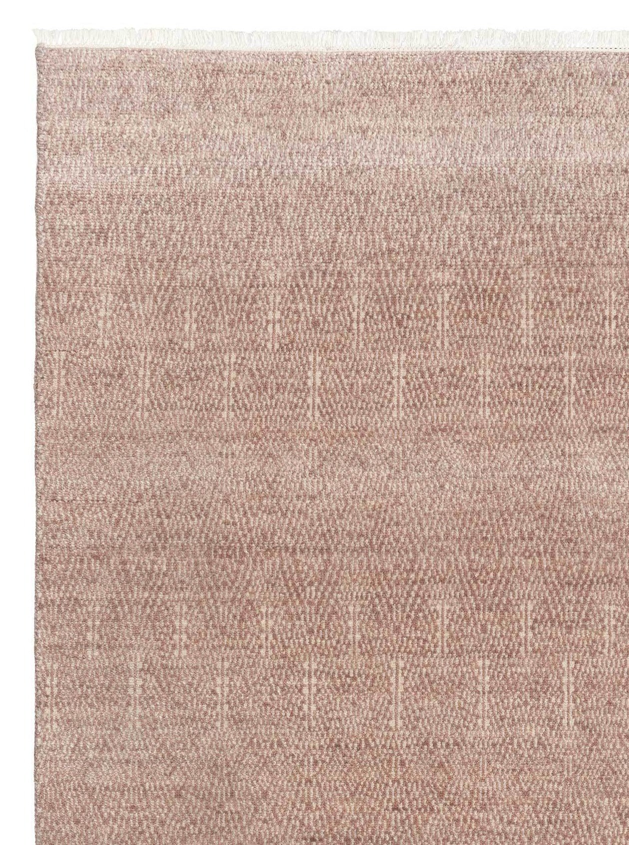 Armadillo Paragon - Primrose