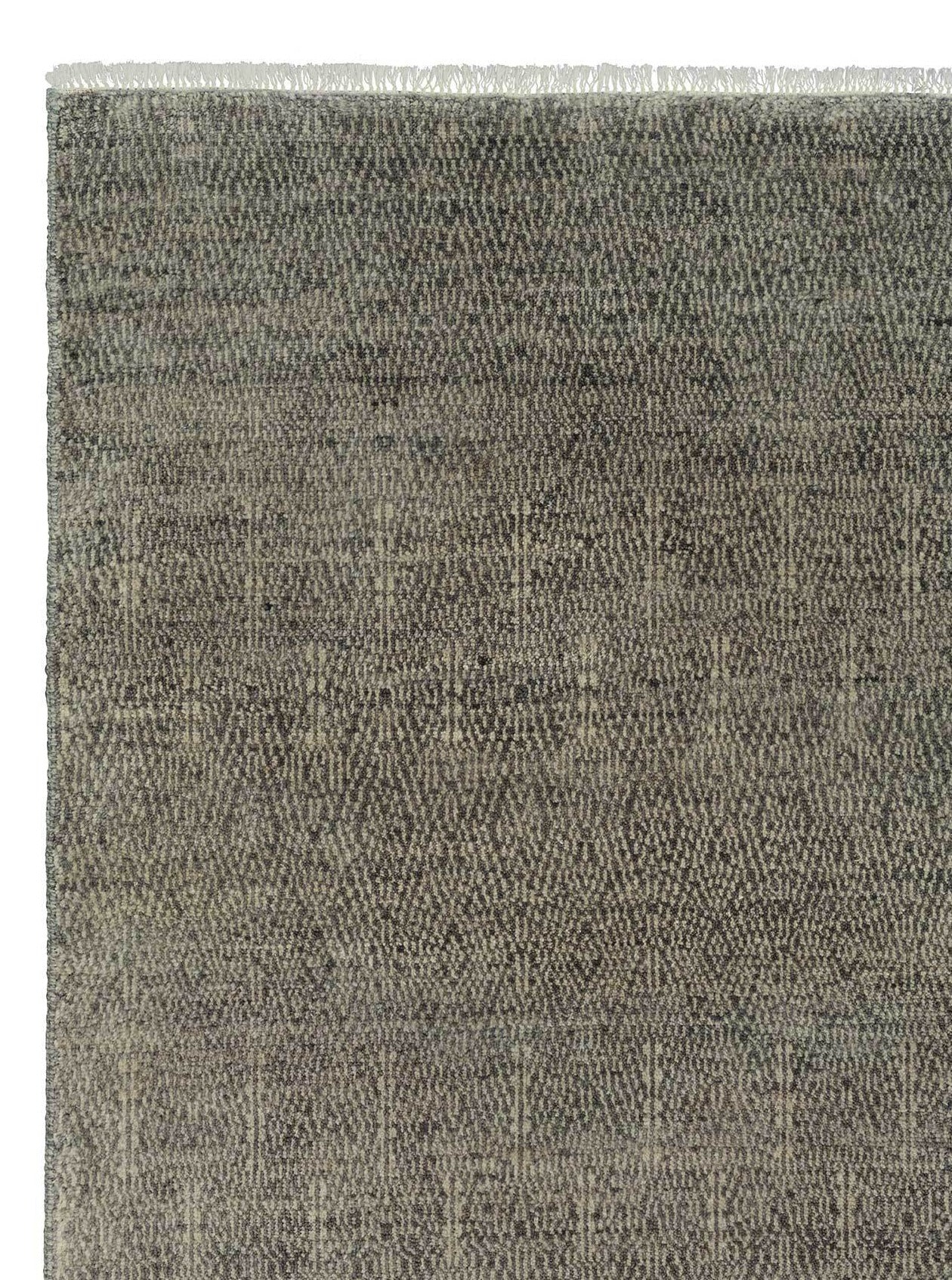 Armadillo Paragon - Shadow