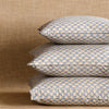 Fermoie Cushion in Blue Eythorne
