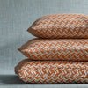Fermoie Cushion in Orange Chiltern